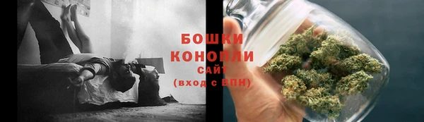 бошки Аркадак