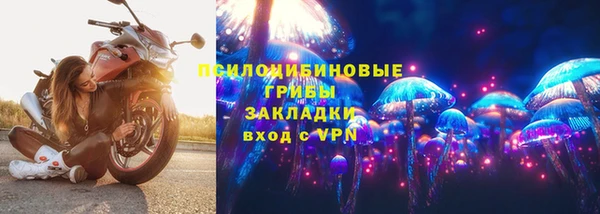 спиды Алзамай