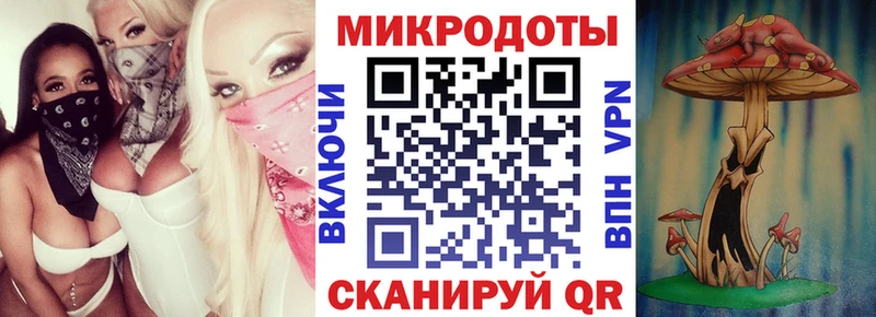 Галлюциногенные грибы Cubensis  где купить наркоту  Луза 